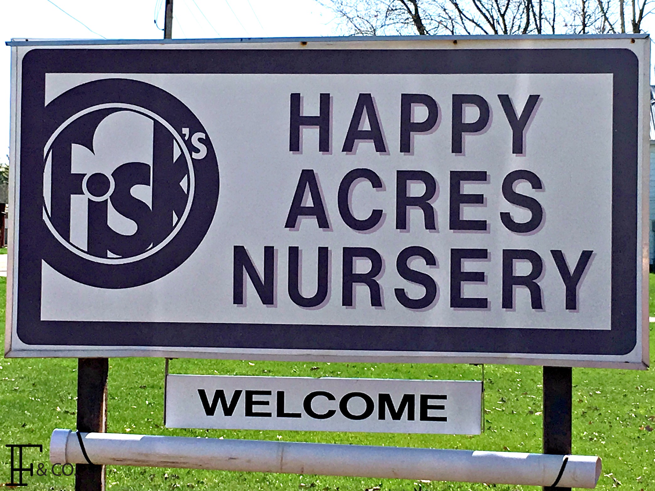 Exploring our Backyard: Happy Acres Nursery in Osage, Iowa