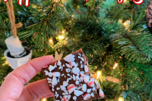 Peppermint Mocha Fudge – A Delicious Christmas Treat